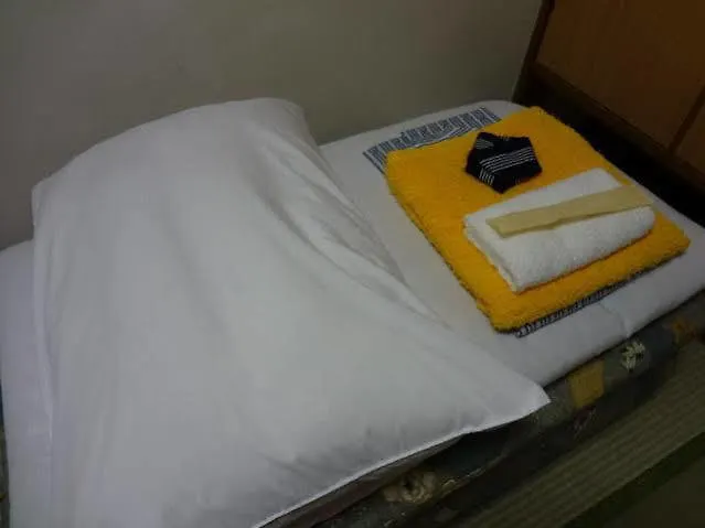 Ryokan Sansuiso Tokyo